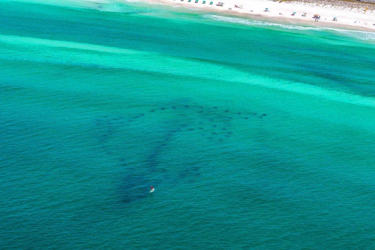 Ariel Dunes I 1605 Appartamento Destin Esterno foto